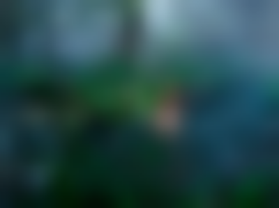 其他.哈苏大师获奖作品集.2008.Julia Fullerton-Batten 朱莉娅·富勒顿-巴顿.个人项目.美术.FERAL_CHILDREN,_2015的摄影作品-13900001041