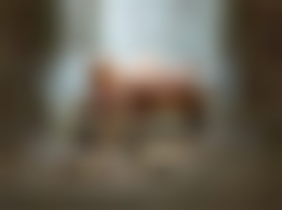 其他.哈苏大师获奖作品集.2008.Julia Fullerton-Batten 朱莉娅·富勒顿-巴顿.个人项目.美术.UNADORNED,_2012的摄影作品-14400000068