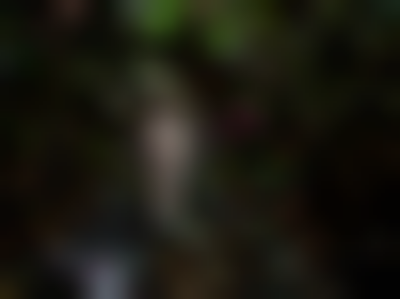 其他.哈苏大师获奖作品集.2008.Julia Fullerton-Batten 朱莉娅·富勒顿-巴顿.个人项目.美术.UNADORNED,_2012的摄影作品-14400000913