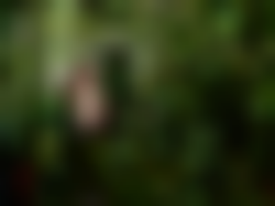 其他.哈苏大师获奖作品集.2008.Julia Fullerton-Batten 朱莉娅·富勒顿-巴顿.个人项目.美术.UNADORNED,_2012的摄影作品-14400000918