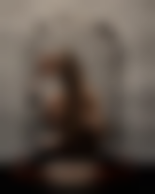 其他.哈苏大师获奖作品集.2010.João Carlos.个人项目.美术.Stages_of_Isolation的摄影作品-states-of-isolation-joao-carlos-01