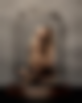 其他.哈苏大师获奖作品集.2010.João Carlos.个人项目.美术.Stages_of_Isolation的摄影作品-states-of-isolation-joao-carlos-03