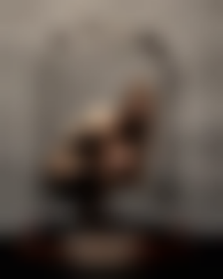 其他.哈苏大师获奖作品集.2010.João Carlos.个人项目.美术.Stages_of_Isolation的摄影作品-states-of-isolation-joao-carlos-04