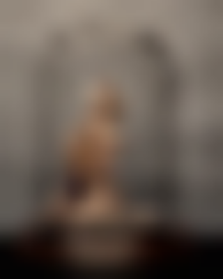 其他.哈苏大师获奖作品集.2010.João Carlos.个人项目.美术.Stages_of_Isolation的摄影作品-states-of-isolation-joao-carlos-05