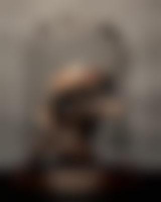 其他.哈苏大师获奖作品集.2010.João Carlos.个人项目.美术.Stages_of_Isolation的摄影作品-states-of-isolation-joao-carlos-08