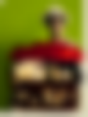 其他.哈苏大师获奖作品集.2010.Mark Holthusen.个人项目.肖像.Organillarios的摄影作品-Organ+Grinders_0232