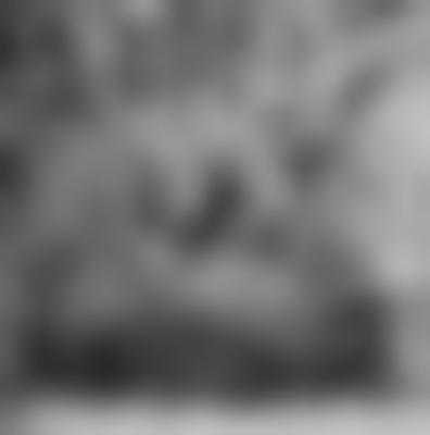 其他.哈苏大师获奖作品集.2012.Jon Lowenstein 乔恩·洛文斯坦.HISTORIOLOGIES — jon LOWENSTEIN的摄影作品-2015_SouthSide_Historiologies_0006