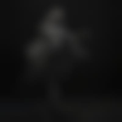 其他.哈苏大师获奖作品集.2012.Oliver Valsecchi.个人项目.BLACKDUST的摄影作品-blackdust05