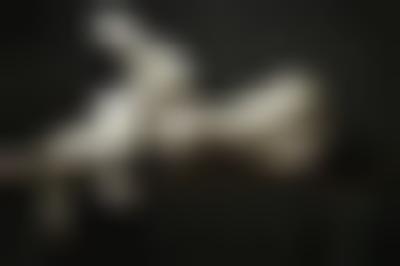 其他.哈苏大师获奖作品集.2012.Oliver Valsecchi.个人项目.DRIFTING的摄影作品-摄影大师作品集 3