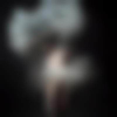 其他.哈苏大师获奖作品集.2012.Oliver Valsecchi.个人项目.DUST的摄影作品-dust06