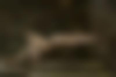 其他.哈苏大师获奖作品集.2012.Oliver Valsecchi.个人项目.EQUILIBRIUM的摄影作品-equilibrium1