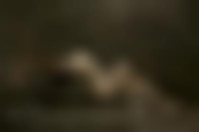 其他.哈苏大师获奖作品集.2012.Oliver Valsecchi.个人项目.EQUILIBRIUM的摄影作品-equilibrium2