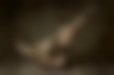 其他.哈苏大师获奖作品集.2012.Oliver Valsecchi.个人项目.EQUILIBRIUM的摄影作品-equilibrium8