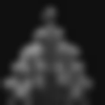 其他.哈苏大师获奖作品集.2012.Oliver Valsecchi.个人项目.KLECKSOGRAPHY的摄影作品-摄影大师作品集 2