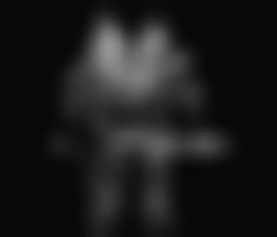 其他.哈苏大师获奖作品集.2012.Oliver Valsecchi.个人项目.KLECKSOGRAPHY的摄影作品-摄影大师作品集 5