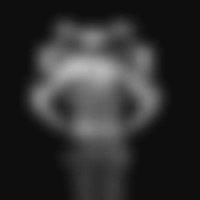 其他.哈苏大师获奖作品集.2012.Oliver Valsecchi.个人项目.KLECKSOGRAPHY的摄影作品-摄影大师作品集 6