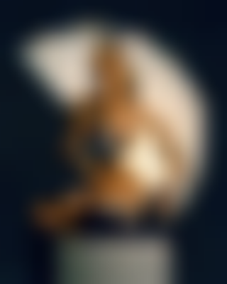 其他.哈苏大师获奖作品集.2018.Kamilla Hanapova.个人项目.Kamilla_Hanapova_-_COWBOY_艺术时尚项目的摄影作品-摄影大师作品集 11