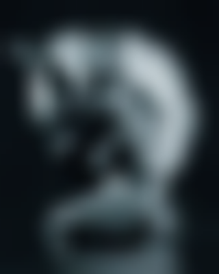 其他.哈苏大师获奖作品集.2018.Kamilla Hanapova.个人项目.Kamilla_Hanapova_-_COWBOY_艺术时尚项目的摄影作品-摄影大师作品集 8