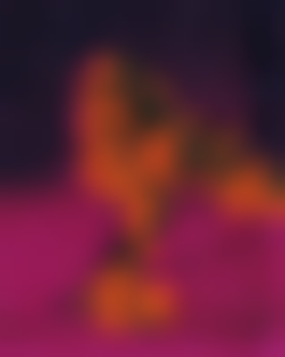 其他.哈苏大师获奖作品集.2018.Kamilla Hanapova.个人项目.Kamilla_Hanapova_-_TOXIC_art-beauty_project的摄影作品-55c54d7a-a733-4f0e-b04f-6b221c5a44e3_rw_1920