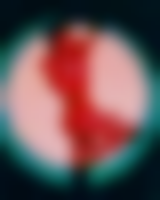 其他.哈苏大师获奖作品集.2018.Kamilla Hanapova.个人项目.Kamilla_Hanapova_-_人体结构_拼贴画的摄影作品-682fe3c8-f241-4066-8b19-933760294c6b_rw_1920