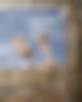 其他.哈苏大师获奖作品集.2021.野生动物.Alice Zilberberg.个人项目.2008-2011的摄影作品-04_dreaminggirls