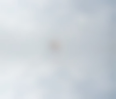 其他.哈苏大师获奖作品集.2021.野生动物.Alice Zilberberg.个人项目.2017-2018的摄影作品-untitled-1