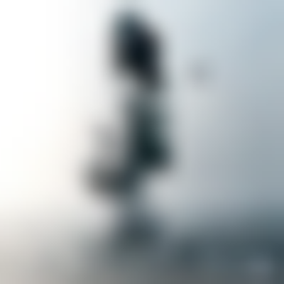 其他.哈苏大师获奖作品集.2021.野生动物.Alice Zilberberg.个人项目.2017-2018的摄影作品-20180130_0487-4