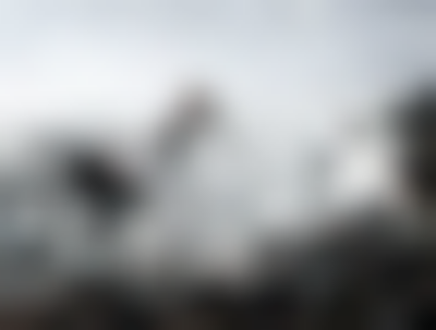 其他.哈苏大师获奖作品集.2021.野生动物.Alice Zilberberg.个人项目.2017-2018的摄影作品-20180209_0898_09