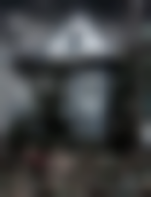 其他.哈苏大师获奖作品集.2021.野生动物.Alice Zilberberg.个人项目.“从此幸福美满”之死的摄影作品-alicezilberberg_06