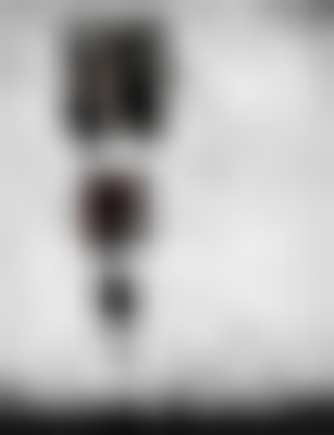 其他.哈苏大师获奖作品集.2021.野生动物.Alice Zilberberg.个人项目.“从此幸福美满”之死的摄影作品-alicezilberberg_07