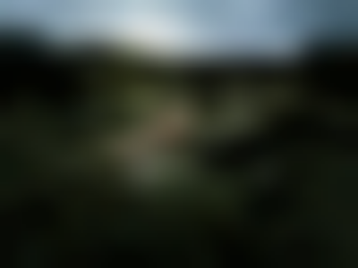 其他.哈苏大师获奖作品集.2021.野生动物.Alice Zilberberg.个人项目.全能女神的摄影作品-alicezilberberg_004-1100x825